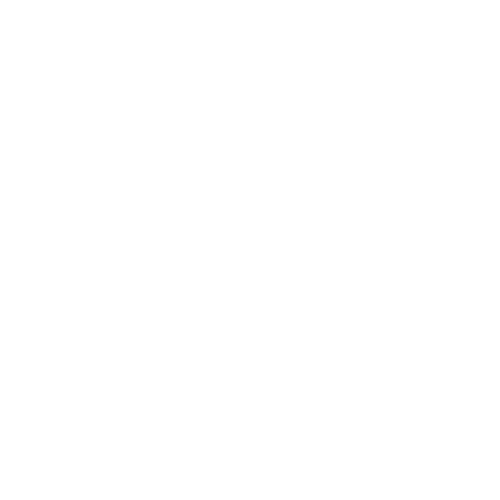 Government icon